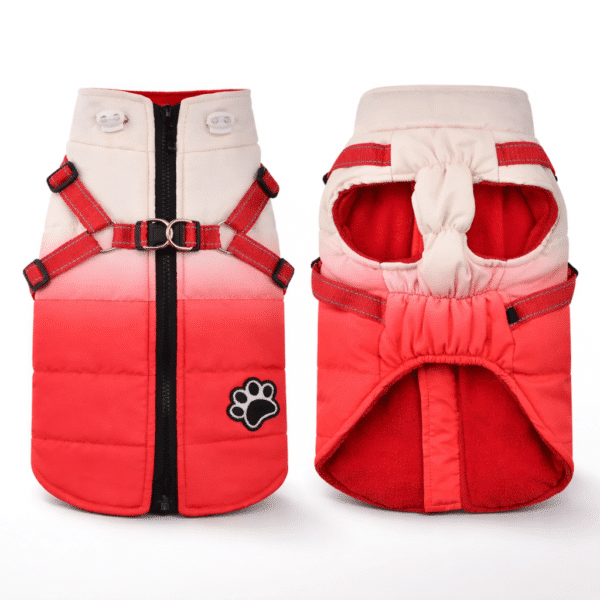 Manteau pour petit chien avec harnais intégré