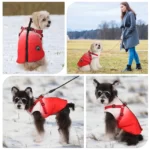 Manteau pour petit chien avec harnais intégré 4