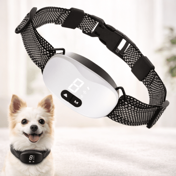 Collier anti aboiement petit chien chihuahua