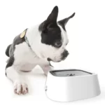 Gamelle eau chien anti éclabousure 4