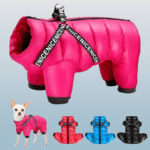 767632014-600×600-removebg-preview