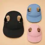 Casquette pour chihuahua