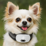 ChatGPT Image 17 nov. 2025, 16_31_09