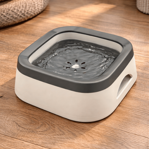 Gamelle d'eau anti-débordement