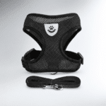 Image 25 avr. 2026, 10_52_29