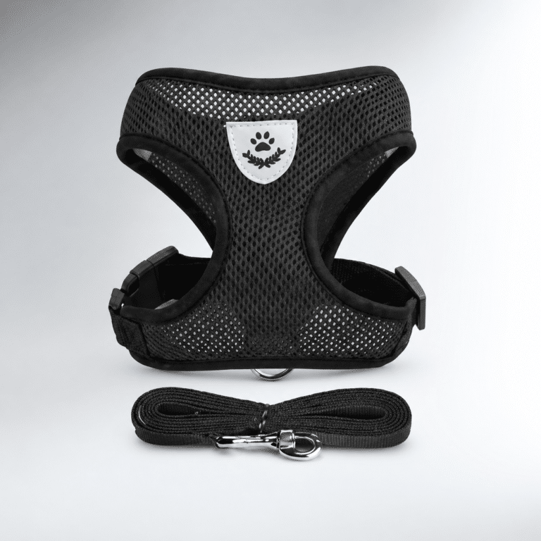 Image 25 avr. 2026, 10_52_29