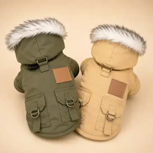 Manteau spitz nain
