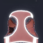 1477902045-542x700_cleanup