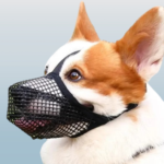 1719246092-600×600-removebg-preview