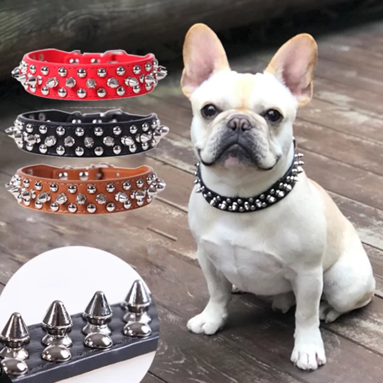 Collier à clou pour chien 2