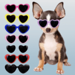 Capture-decran-2024-03-03-a-19.1-removebg-preview