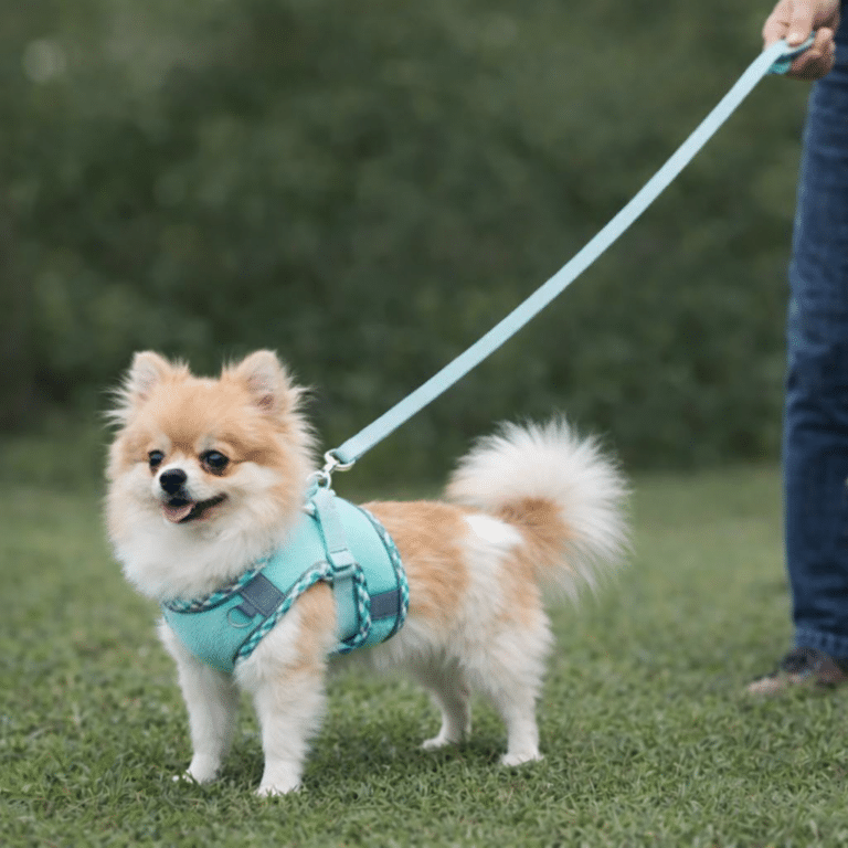 ChatGPT Image 4 févr. 2026, 16_06_34