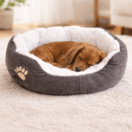 ChatGPT Image 8 mars 2026, 13_44_38