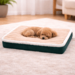 ChatGPT Image 8 mars 2026, 15_19_36