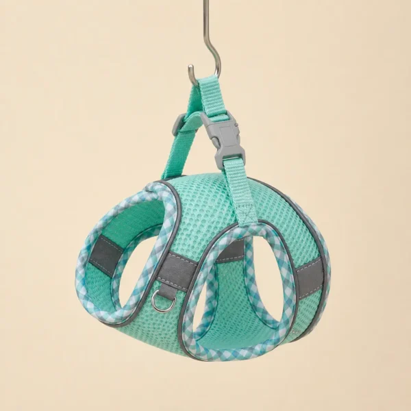 Harnais pour spitz nain