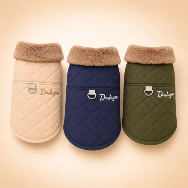 Manteau shih tzu