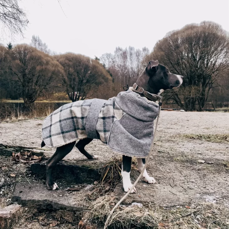 Manteau barbour chien