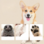 1374869478-700x700_cleanup