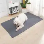 Tapis d'éducation pour chien 3
