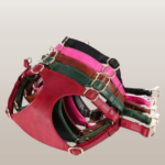 636835338-700x700_cleanup-600×60-removebg-preview