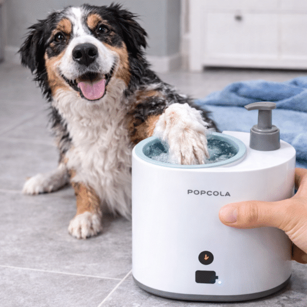 Nettoyeur de patte pour chien