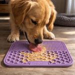 ChatGPT Image 2 mars 2026, 19_33_02