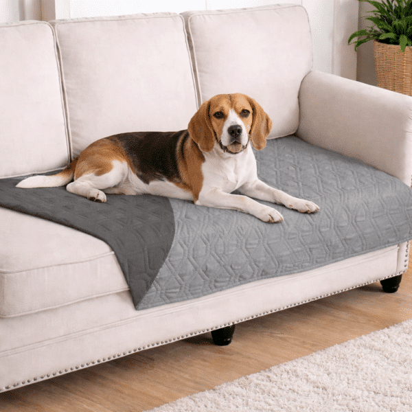 Protège canapé chien