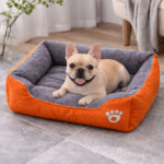 ChatGPT Image 8 mars 2026, 16_56_37