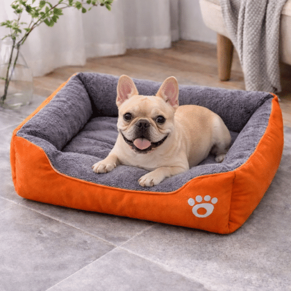 Panier chien bouledogue francais