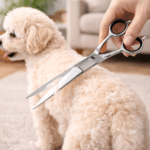 ChatGPT Image 8 mars 2026, 23_17_41