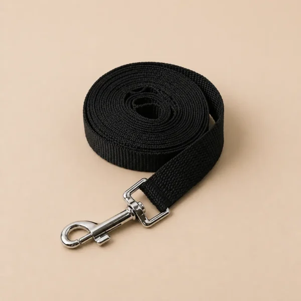 Laisse pour petit chien