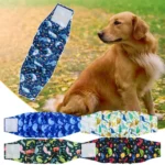 Bandeau anti pipi chien 5