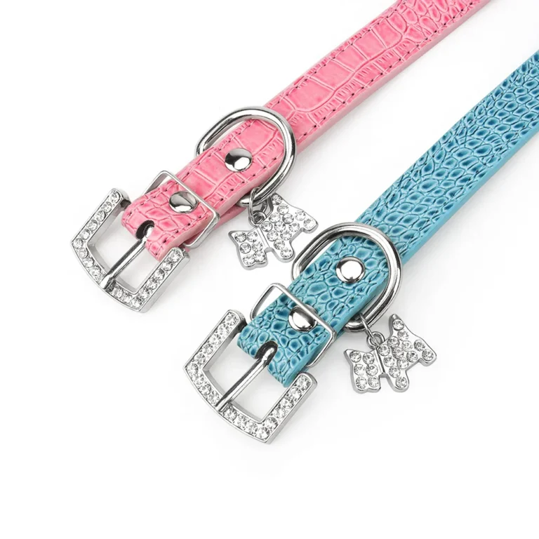 Collier pour petits chiens 3