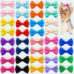 1517756263-700×700-Photoroom_cleanup