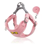 Ensemble de laisse d'été en velours côtelé SFP pour chiens de petite et moyenne taille, respirant, chiot, chat, chihuahua