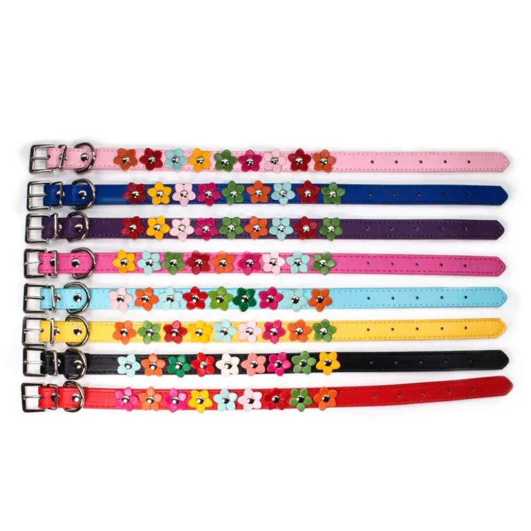 Collier en cuir PU avec fleurs pour animal de compagnie, sangle JONeck, laisse, petit, moyen, grand animal, Teddy, Chihuahua, chat, PDPFashion 2