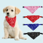 2092173473-600×600-Photoroom_cleanup
