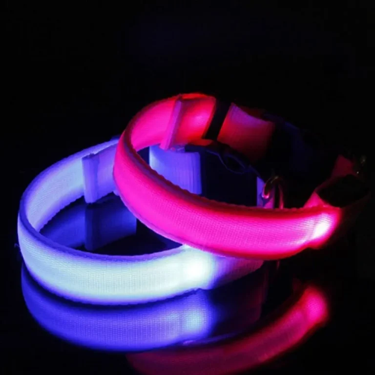 Collier Anti-Perte à Lumière LED Brillante pour Chien, Accessoire de Sécurité pour Animaux de Compagnie, Petit, Moyen et Grand Gabarit 5