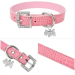 Collier pour petits chiens 5