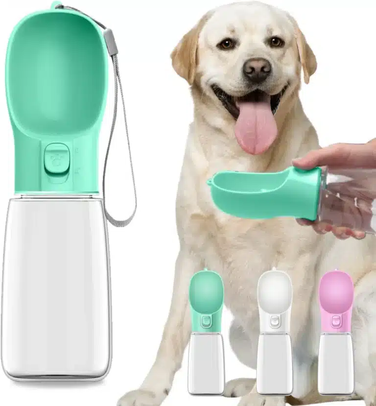 Bouteille d'eau portable pour chien, bols pour petits et grands chiens, chat, extérieur, étanche, marche, bols à boire, fournitures pour chiots et animaux de compagnie 1