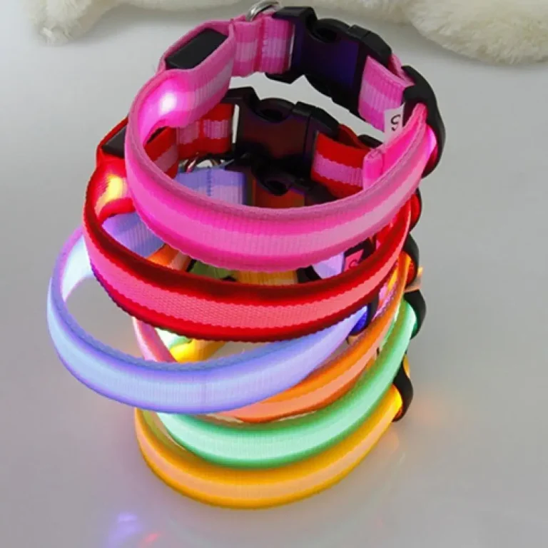 Collier Anti-Perte à Lumière LED Brillante pour Chien, Accessoire de Sécurité pour Animaux de Compagnie, Petit, Moyen et Grand Gabarit 1