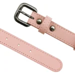 Collier AirTag pour chien 3