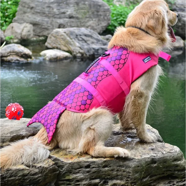 Harnais flottant pour chien 11