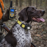 ChatGPT Image 16 févr. 2026, 11_40_29