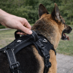 ChatGPT Image 16 févr. 2026, 11_52_13