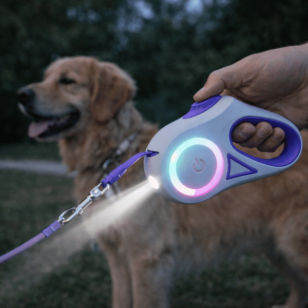 Laisse lumineuse pour chien