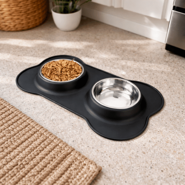 Gamelle pour chien originale