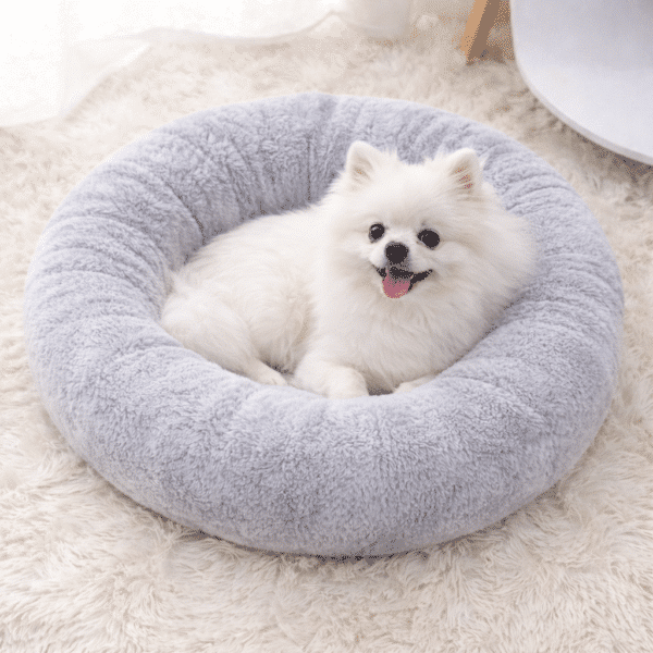 Panier pour spitz nain