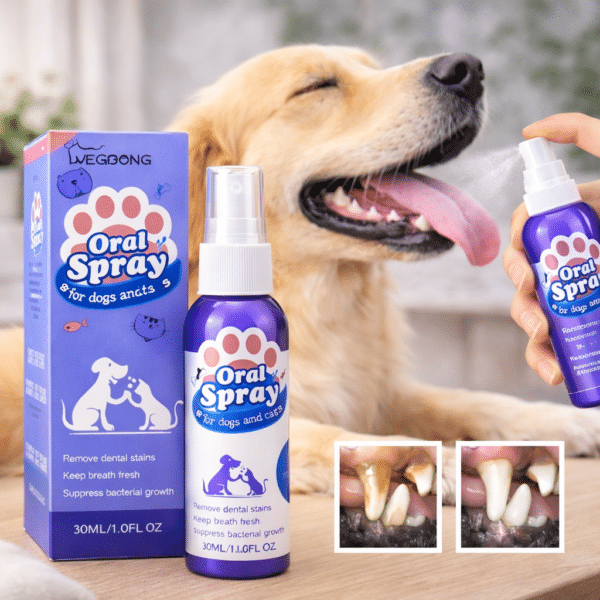 Spray dentaire chien