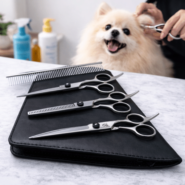 Matériel pour toilettage chien